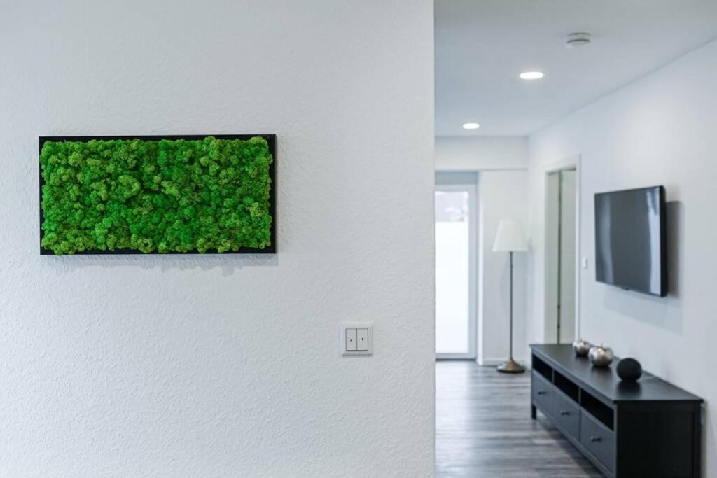 Ferienhaus Kopf In Bad Buchau Exteriér fotografie